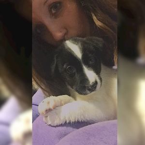 Meet your Posher, Alita